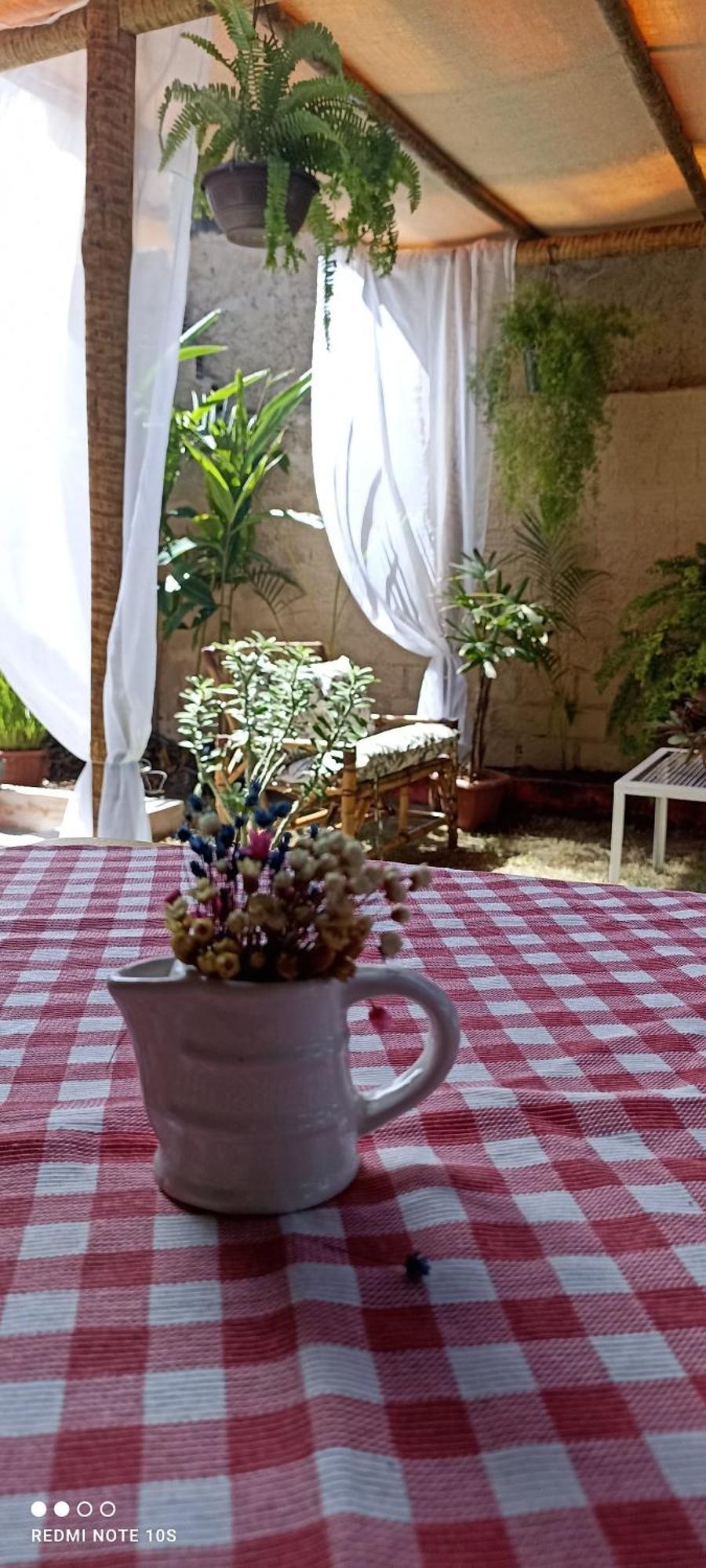 Pousada Ray Sol - Centro Arraial D Ajuda بورتو سيغورو المظهر الخارجي الصورة